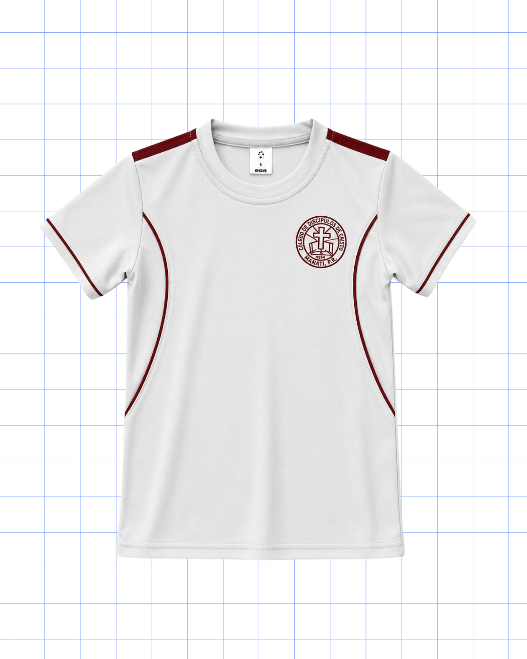 CAMISA DEPORTIVA GRIS: PRIMERO A DUODÉCIMO GRADO