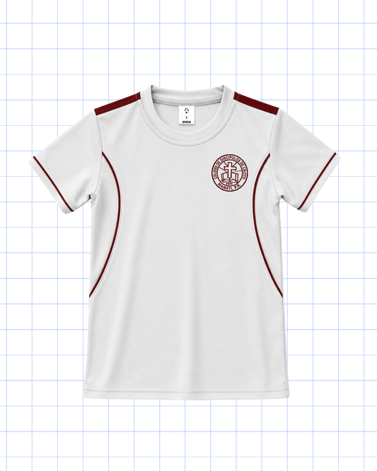 CAMISA DEPORTIVA GRIS: PRIMERO A DUODÉCIMO GRADO