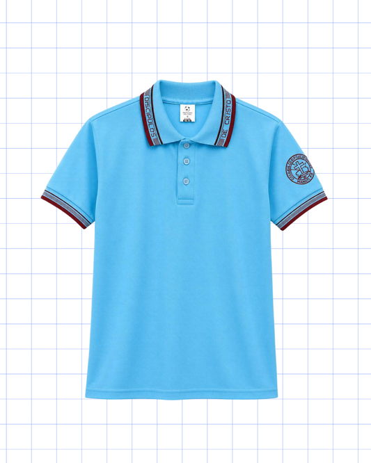 NOVENO A DUODECIMO: POLO AZUL