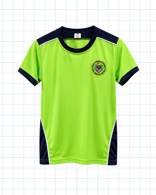 DUODÉCIMO: CAMISA VERDE